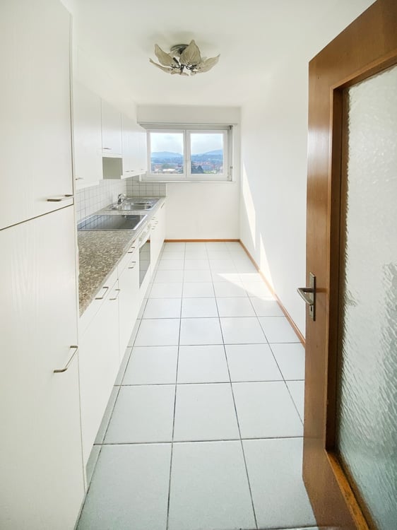 Splendido comodo 3,5 locali ristrutturato con terrazzo panoramico 4