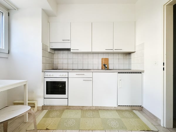 Luminoso 2,5 ristrutturato con terrazza in ottima zona residenziale 3