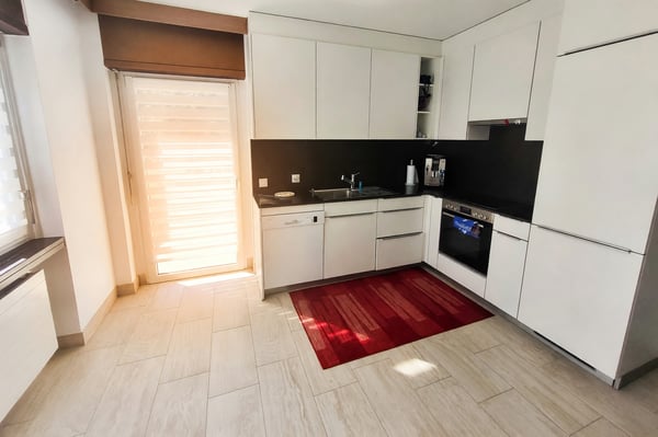 Appartamento 4,5 con camino e tre terrazzi a Manno 5