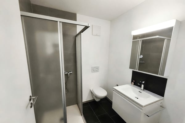 Appartamento 2,5 locali con terrazzo in piccola palazzina a Cadenazzo 8
