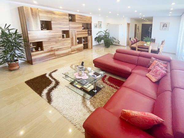 Casa 4,5 completamente ristrutturata con grande giardino e ampio fondo 6