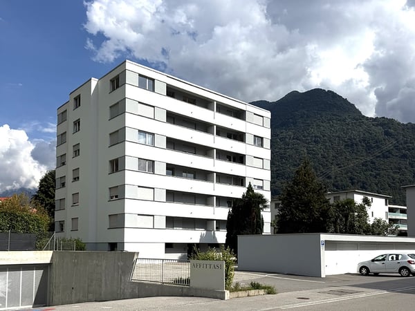 Raffinato 3,5 ristrutturato in medio-alto standing con terrazza. 8