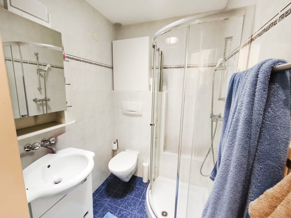 Casa indipendente 5,5 con giardino e spazi commerciali 10