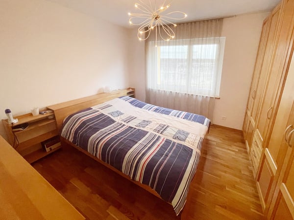 Casa 4,5 completamente ristrutturata con grande giardino e ampio fondo 9