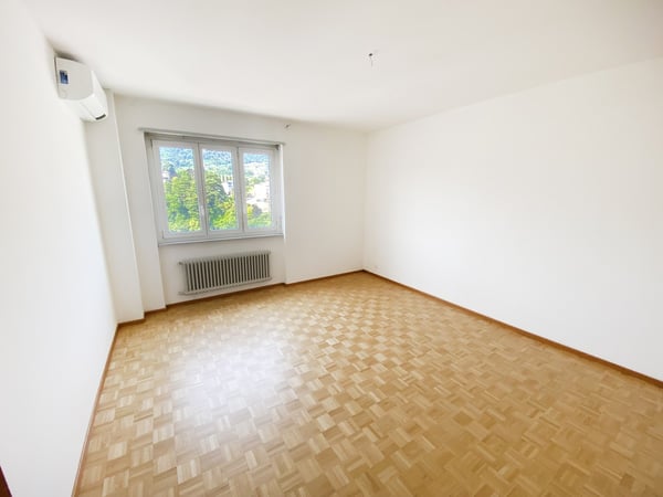 Splendido comodo 3,5 locali ristrutturato con terrazzo panoramico 6