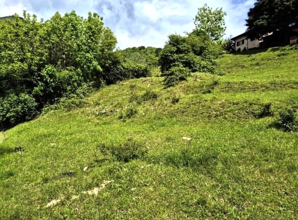 Terreno edificabile di 1008 m² con bella vista sulla vallata 3