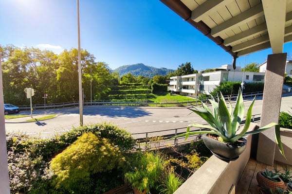 Casa bifamiliare 7 locali ristrutturata con giardino a Davesco 10