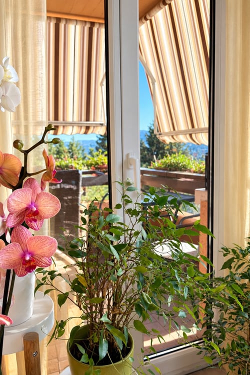 Luminoso appartamento 3,5 panoramico con cucina rinnovata e balcone 4
