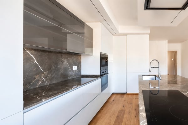 Elegante attico 4,5 con roof top privato e piacevole vista aperta 6