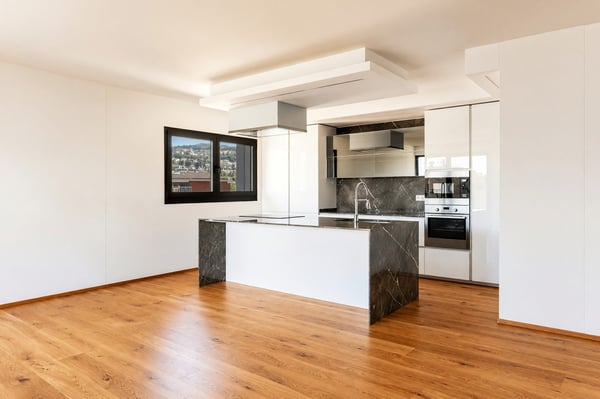 Elegante attico 4,5 con roof top privato e piacevole vista aperta 4