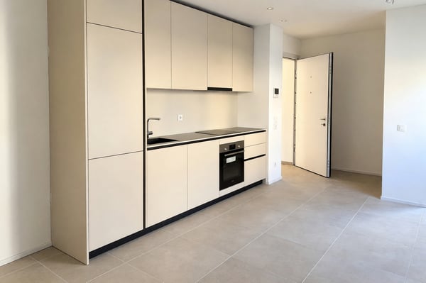 Nuovo appartamento 2,5 locali con terrazza coperta e finiture moderne 3