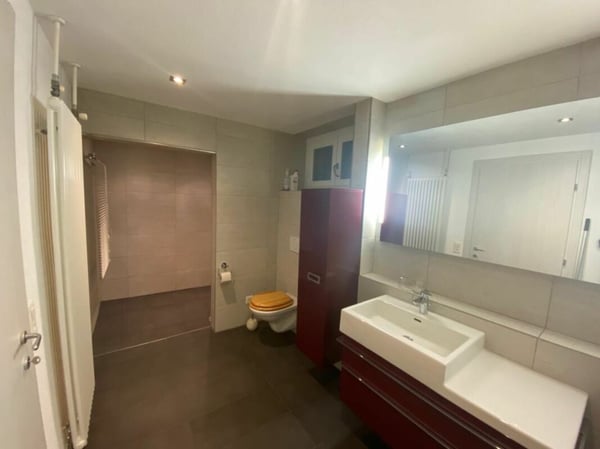 Casa bifamiliare con ampio spazio verde 17