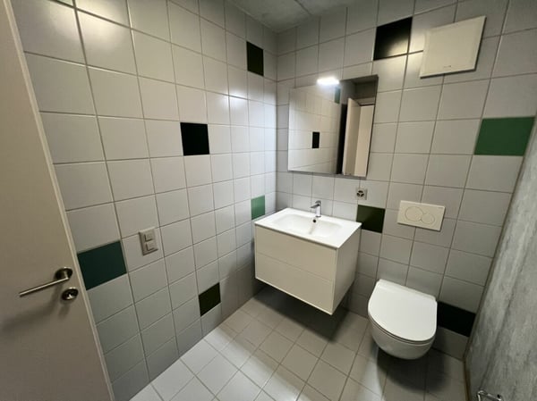 Appartamento 1.5 locali al primo piano 1.1 11