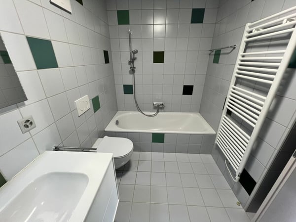 Appartamento 1.5 locali al primo piano 1.1 10