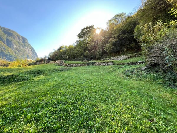 Casa di 1 locali + spazio commerciale + rustico + terreno 34