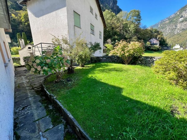 Casa di 1 locali + spazio commerciale + rustico + terreno 17