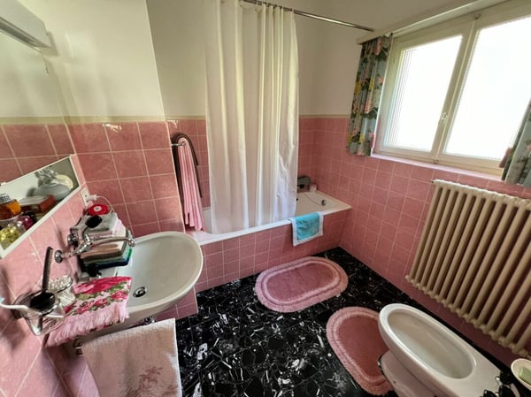 Casa di 1 locali + spazio commerciale + rustico + terreno 14