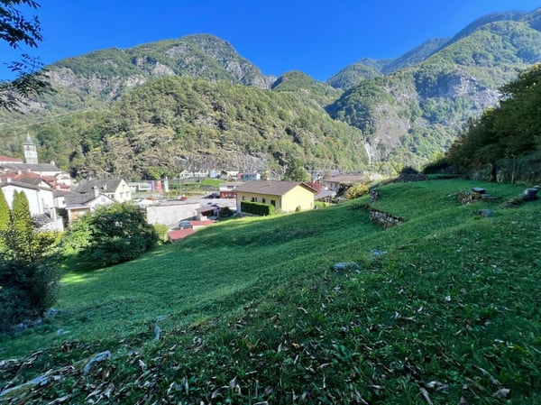 Casa di 1 locali + spazio commerciale + rustico + terreno 33