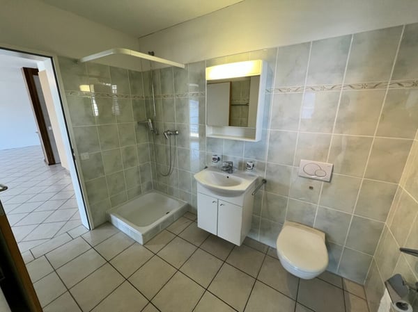 Appartamento 4.5 locali con meravigliosa vista lago 11