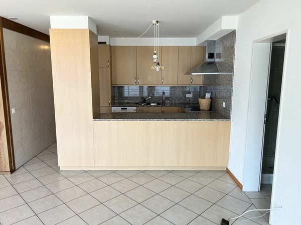 Appartamento 4.5 locali con meravigliosa vista lago 6