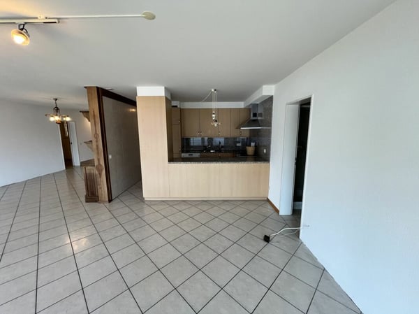 Appartamento 4.5 locali con meravigliosa vista lago 5