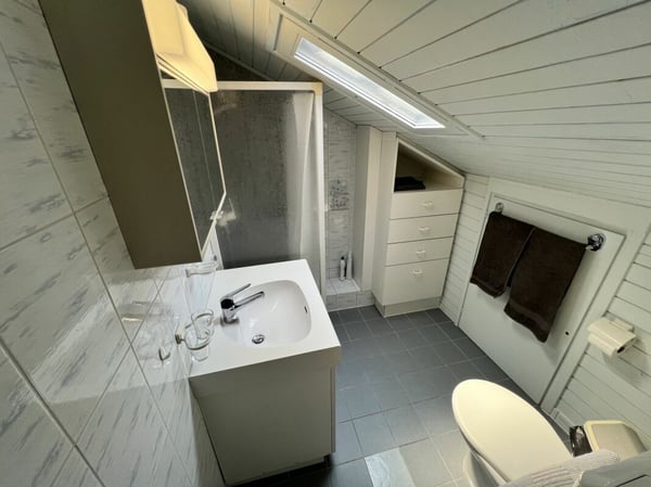 Casa bifamigliare a schiera centrale di 2 + 3.5 locali, con corte 17
