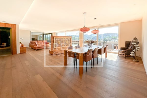 Exklusive 1-Zimmer-Attikawohnung 12