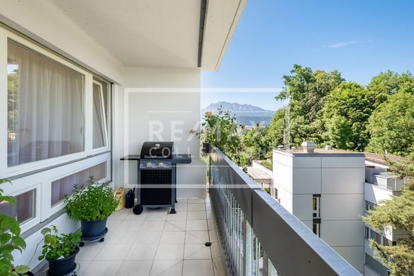 Modernisierte 4½-Zimmer-Wohnung mit spektakulärer Dachterrasse 8