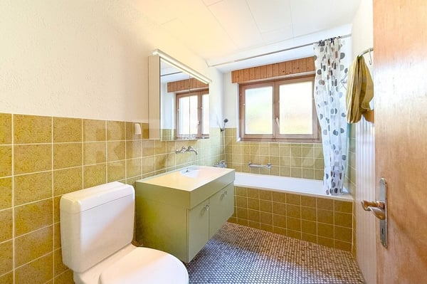 Dreifamilienhaus mit Gewerbefläche - in gemischter Wohn- und Gewerbezone 13