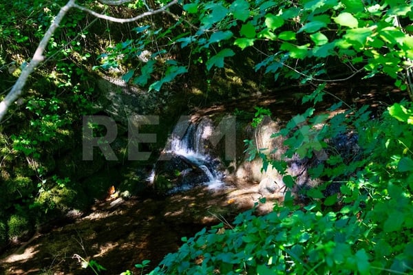 Viel Platz, viel Natur und grosses Potenzial  Grosszügiges Einfamilienhaus in Schwarzenberg 13