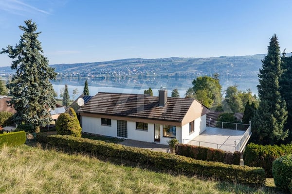 Freistehendes 6½-Zimmer-Einfamilienhaus mit Blick auf den Baldeggersee 1