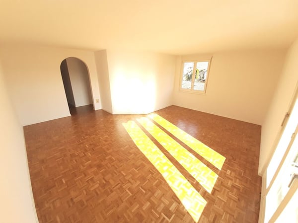 Zentrale 1.5-Zimmerwohnung 2