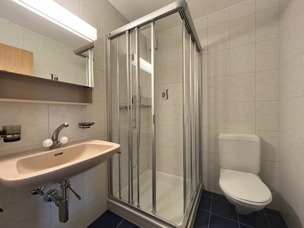 preiswerte 1.5-Zimmerwohnung im Herzen von Schötz 5