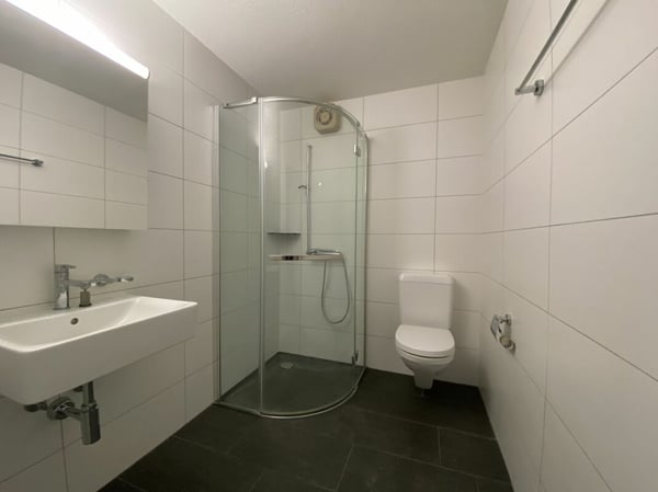 3.5-Zimmer Gartenwohnung 5