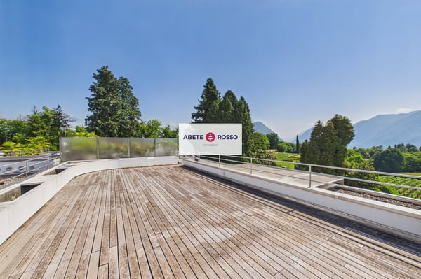 Splendido attico di 4.5 locali con vista e 1 monolocale separato - Collina d'Oro 35