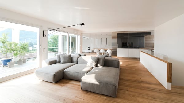Splendido attico di 4.5 locali con vista e 1 monolocale separato - Collina d'Oro 3