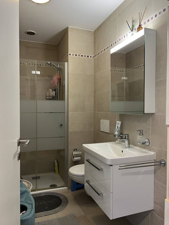 Moderno appartamento 1.5 locali con balcone a Barbengo 5