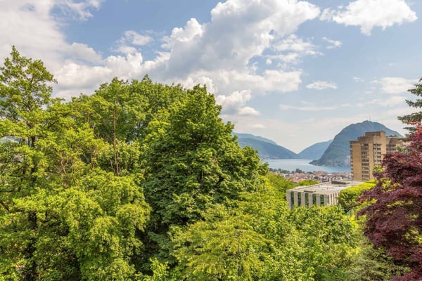 Appartamento immerso nel verde 12
