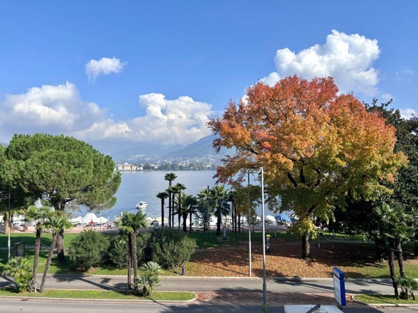 In prima fila fronte lago, a Paradiso. 2