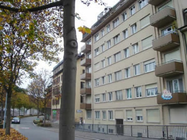 Zentrale 1-Zimmerwohnung in der Luzerner Neustadt! 6