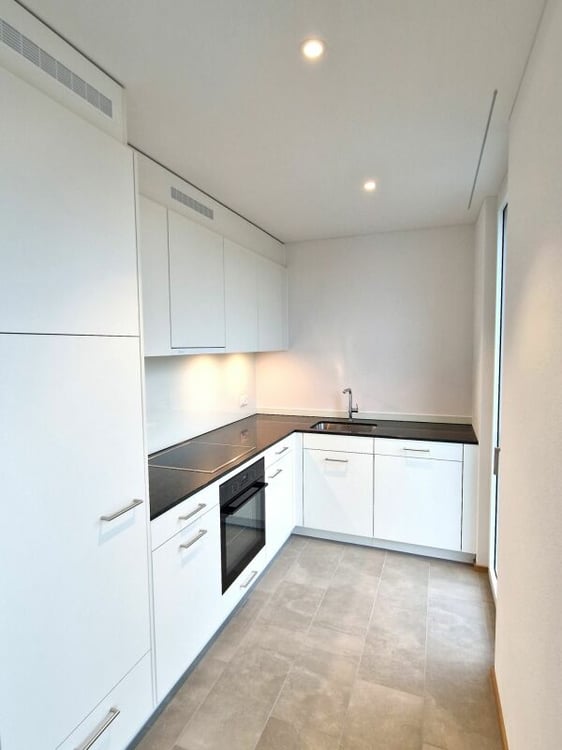 Moderne 2.5-Zimmerwohnung in der Neustadt Luzern Kopie 4