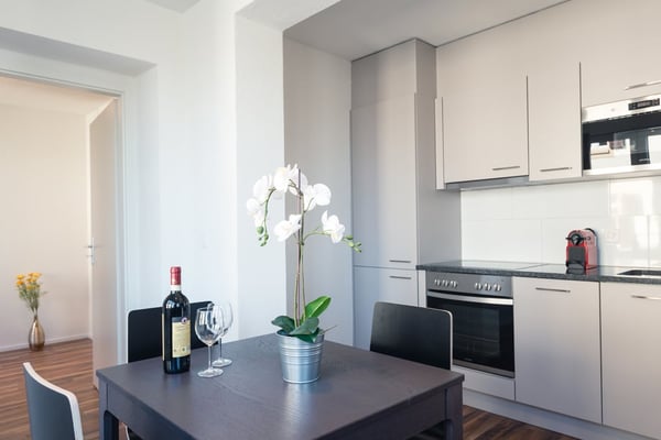 Moderne möblierte 1-Zimmerwohnungen in Zürich Wiedikon 9
