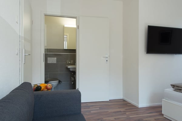 Charmantes möbliertes 2.5-Zimmer Studio beim Triemli 9