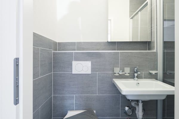 Charmantes möbliertes 2.5-Zimmer Studio beim Triemli 21