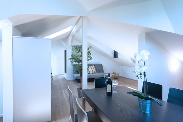 Helle 1 Zimmer Dachwohnung mit Aussicht in Zürich Wiedikon 6