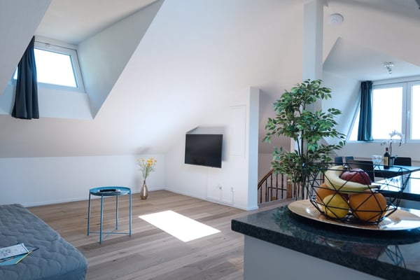 Helle 1 Zimmer Dachwohnung mit Aussicht in Zürich Wiedikon 8