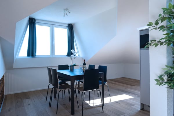 Helle 1 Zimmer Dachwohnung mit Aussicht in Zürich Wiedikon 9