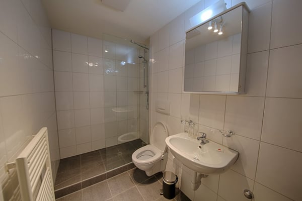 Gemütliche 1.5-Zimmer-Wohnung mit Balkon in Zürich-Oerlikon 8