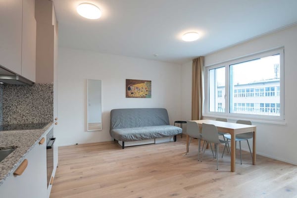 Moderne, frisch renovierte 1 Zimmer Wohnungen mit Balkon 5