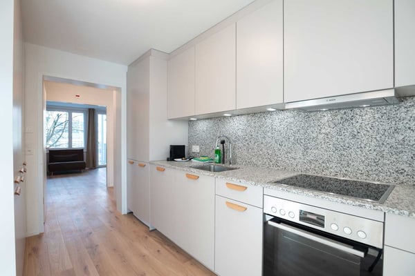 Grosse, moderne und frisch renovierte 3 Zimmer Wohnungen mit Balkon 10